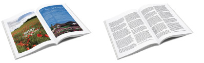 Example Interior Pages