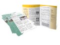 Newsletters & Flyers