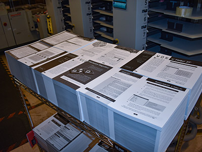 newsletters and flyers printing