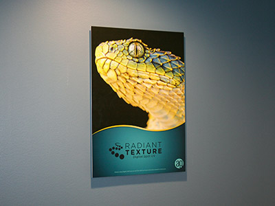 Posters and Banners | Printing and Installations